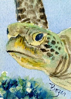 Under the Sea Tammy Bozer Woodstock IL watercolor